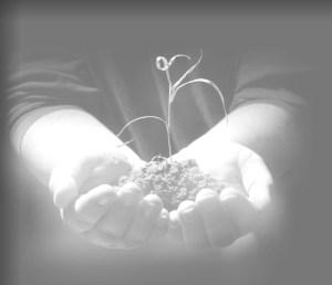 conference picture menu bar