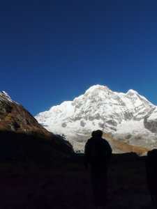 Dawn watchers - Annapurna 1