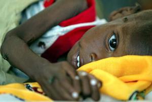 image-12-for-editorial-pics-1st-june-2011-gallery-695473020