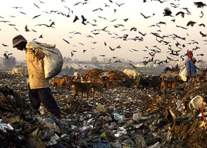 mb_opinion_pandemic-420x0