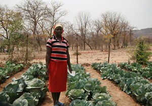 cooperative justice brings development