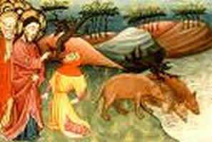 gerasa_man_swine_utrecht_1430