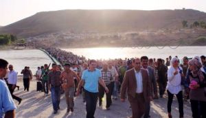 casualties of civil war