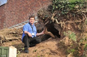 digging out the snug burrows