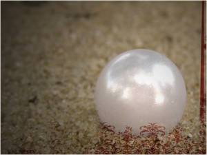 pearl of great price