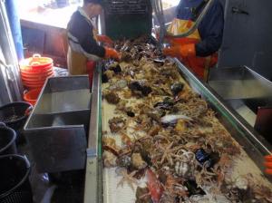 the good, the bad and the ugly