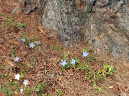 is and was and is to come