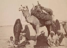 bedouin z