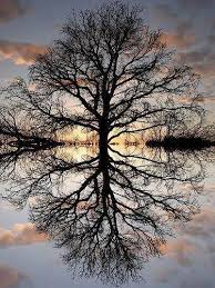 Divine goodness reflected in human goodness