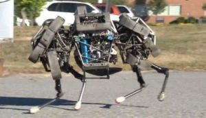 The (robot) dogs of war