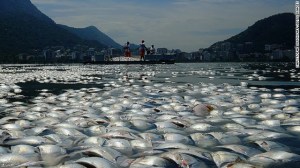 ocean-pollution-horizontal-gallery