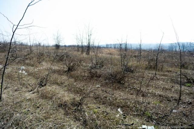 D53A8A67-F5A6-4CA4-8DD6-A849A688B580